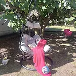 Robi * بريبير